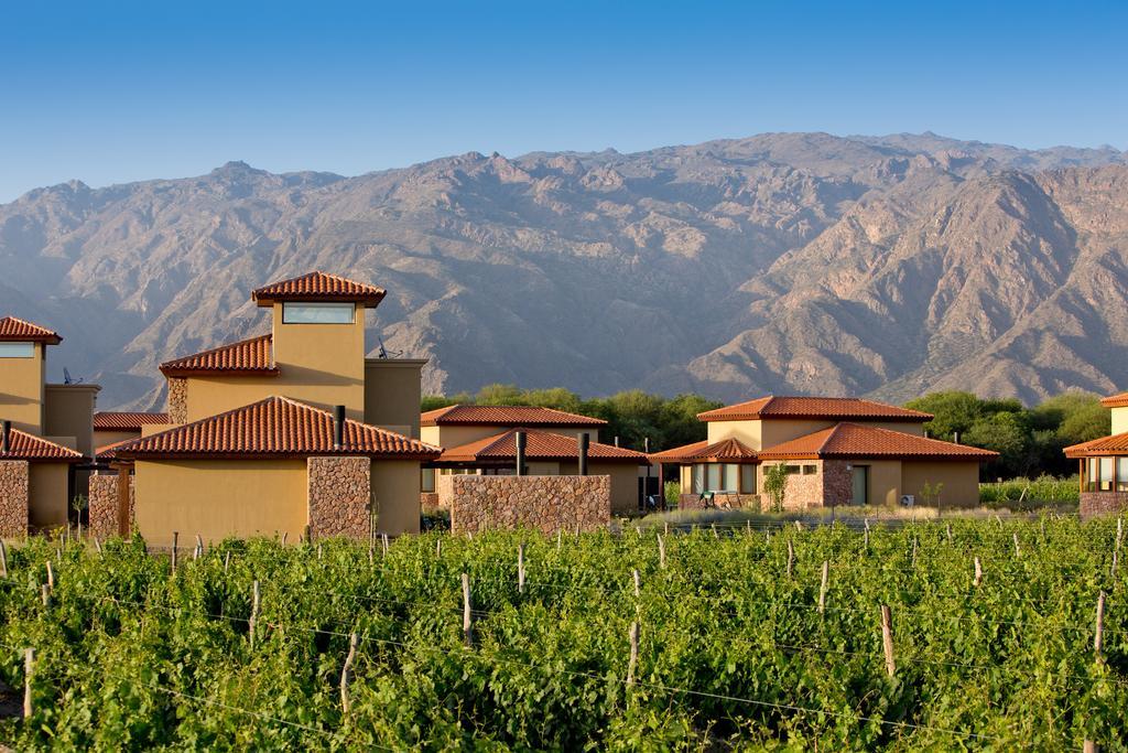 Grace Cafayate Hotel Cameră foto Salta